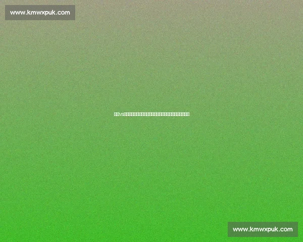 热火vs国王焦点对决谁能掌控攻防节奏笑到最后主场之争悬念拉满